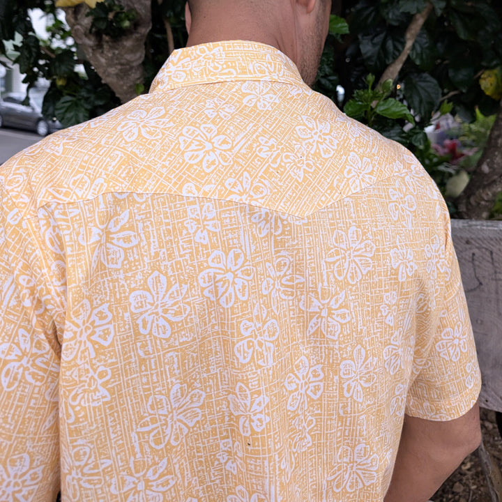 Plumeria Yellow